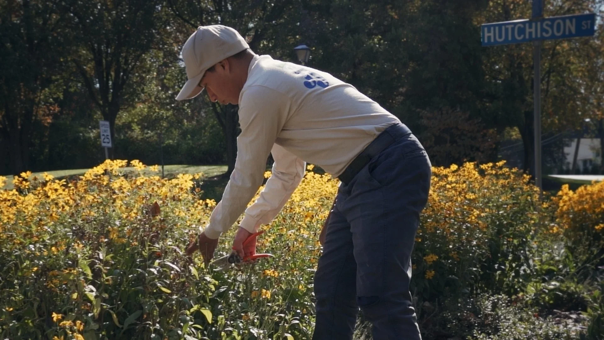 J&J Landscape Management employee trimming a garden.