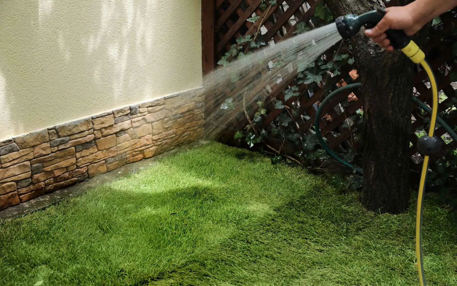 Watering New Sod Tips