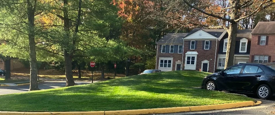 content-manicured-lawn-and-landscape-beds