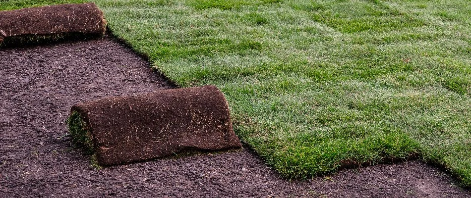 Sod installation in Alexandria, VA.
