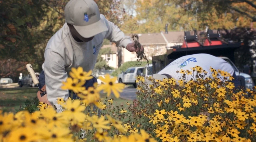 Homeowner in Alexandria, VA receiving full-service landscape maintenance services.